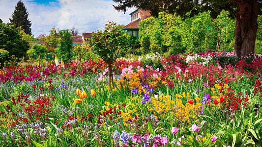 Creating Your Early Spring Pollinator Paradise: A Complete Guide to Native Wildflower Gardening
