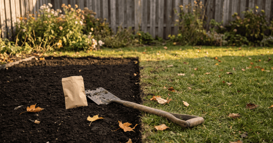 Can You Scatter Wildflower Seeds Over Grass?