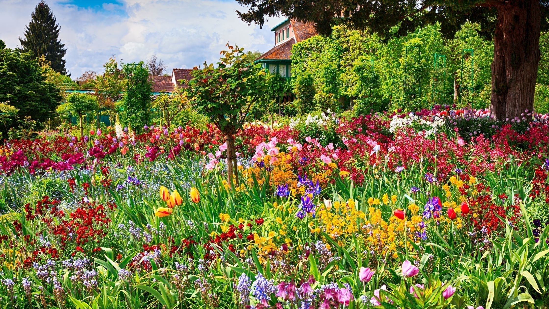 Creating Your Early Spring Pollinator Paradise: A Complete Guide to Na ...