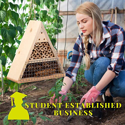 Mason Bee House - Handmade USA Natural Elderberry Bee Hotel - Bee Hive Attracts Peaceful Bee Pollinators to Enhance Garden Productivity