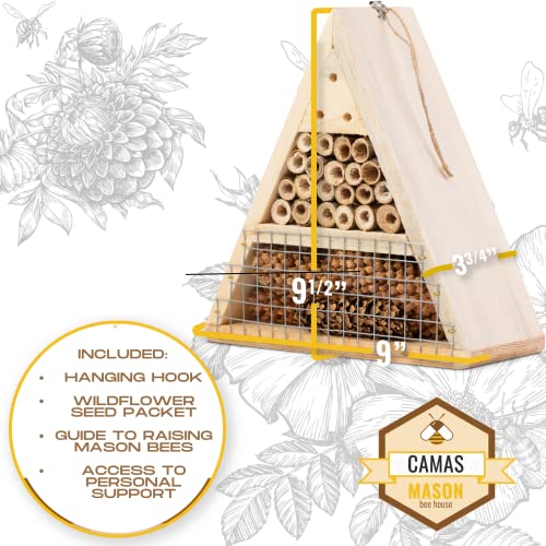 Mason Bee House - Handmade USA Natural Elderberry Bee Hotel - Bee Hive Attracts Peaceful Bee Pollinators to Enhance Garden Productivity